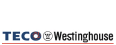 TECO-Westinghouse Motors